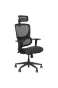 Fotel ErgoNew S1 siedzisko siatkowe