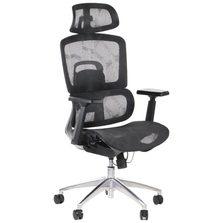 Fotel ErgoNew A1 siedzisko siatkowe