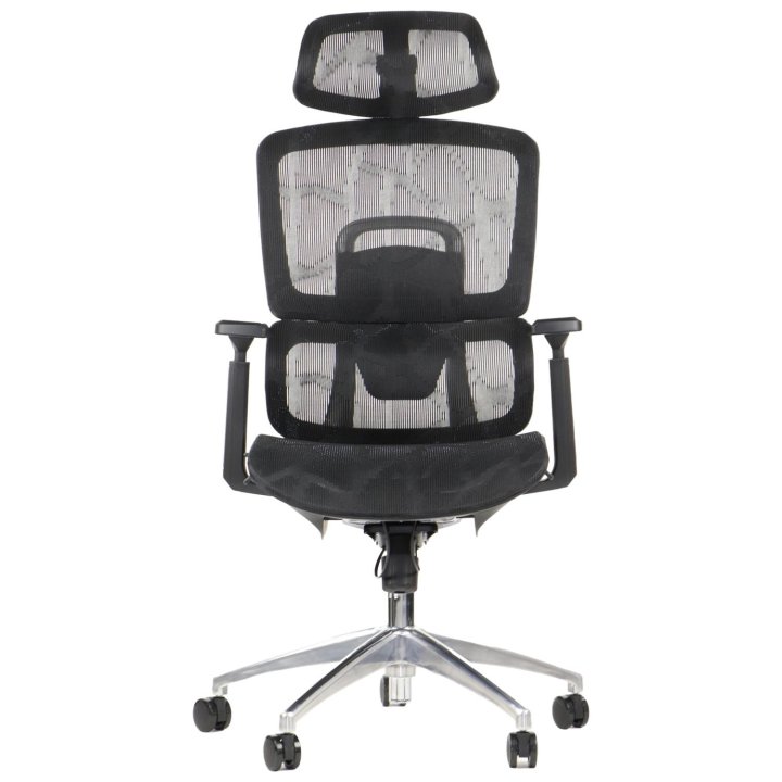 Fotel ErgoNew A1 siedzisko siatkowe