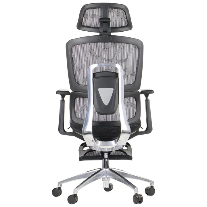 Fotel ErgoNew A1F z podnóżkiem