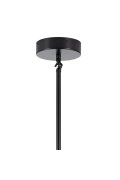 Lampa wisząca MODERN ORCHID-6 transparentno czarna 130 cm